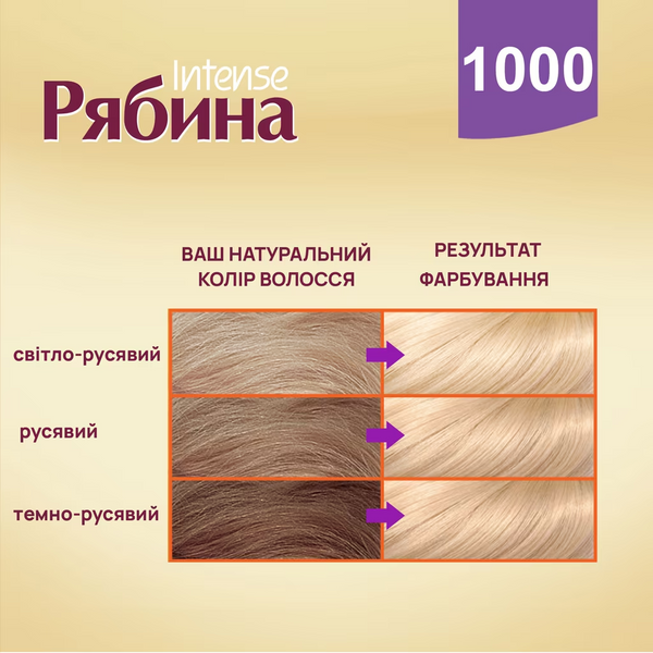 Фарба для волосся Рябина Intense 1000 Чистий блонд e1m-5as-wig фото