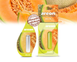 Ароматизатор воздуха Areon Mon Liquid 5 ml Melon ARN-000022 фото 2