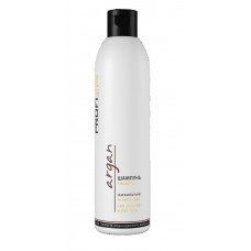 Шампунь ProfiStyle Argan живильний 250 мл PF-SH-03 фото
